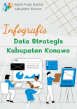 Infografis Data Strategis kabupaten Konawe